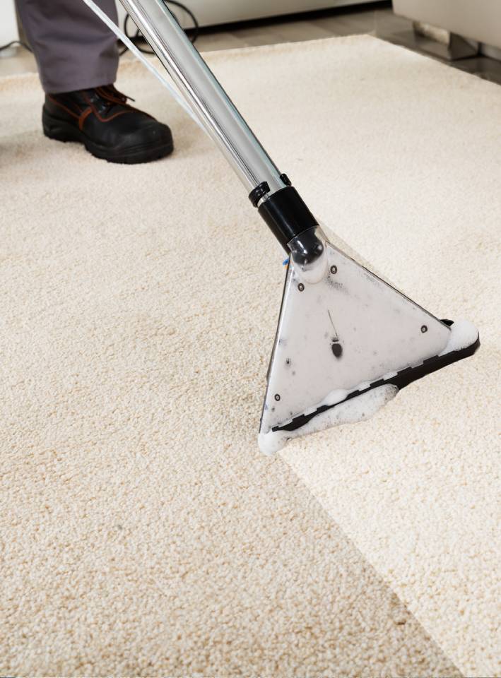 Rug Cleaning in Concord, North Carolina