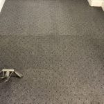 Deep Carpet Cleaning in Concord, North Carolina