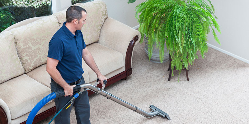 What to Look for in a Carpet Cleaning Company