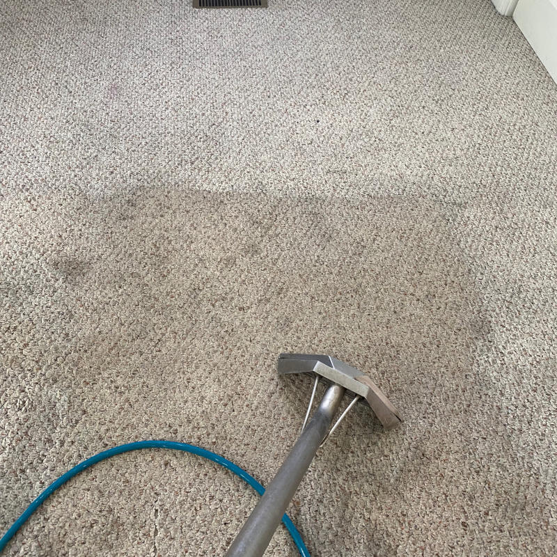 Carpet Cleaning